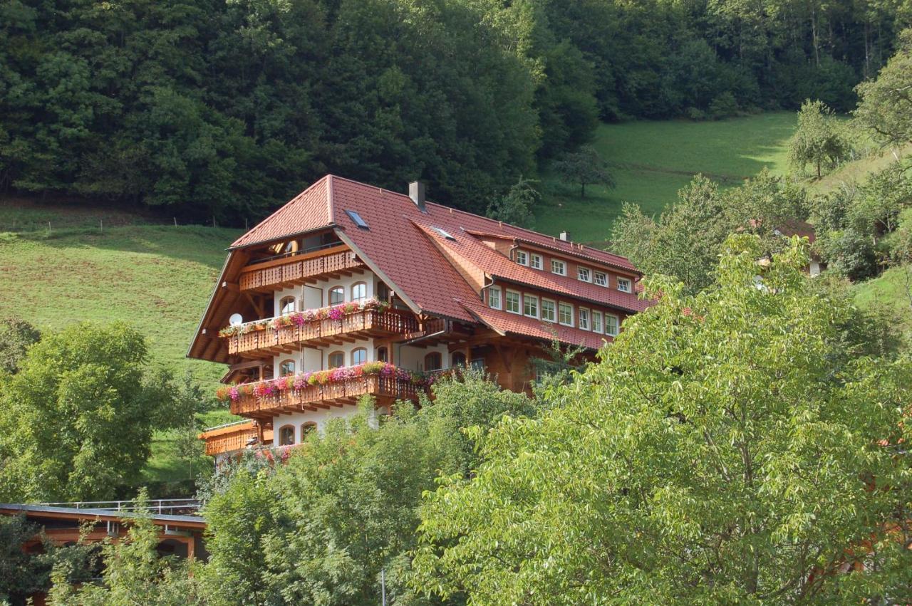 Ehrenmaettlehof Faisst Apart otel Bad Peterstal-Griesbach Dış mekan fotoğraf