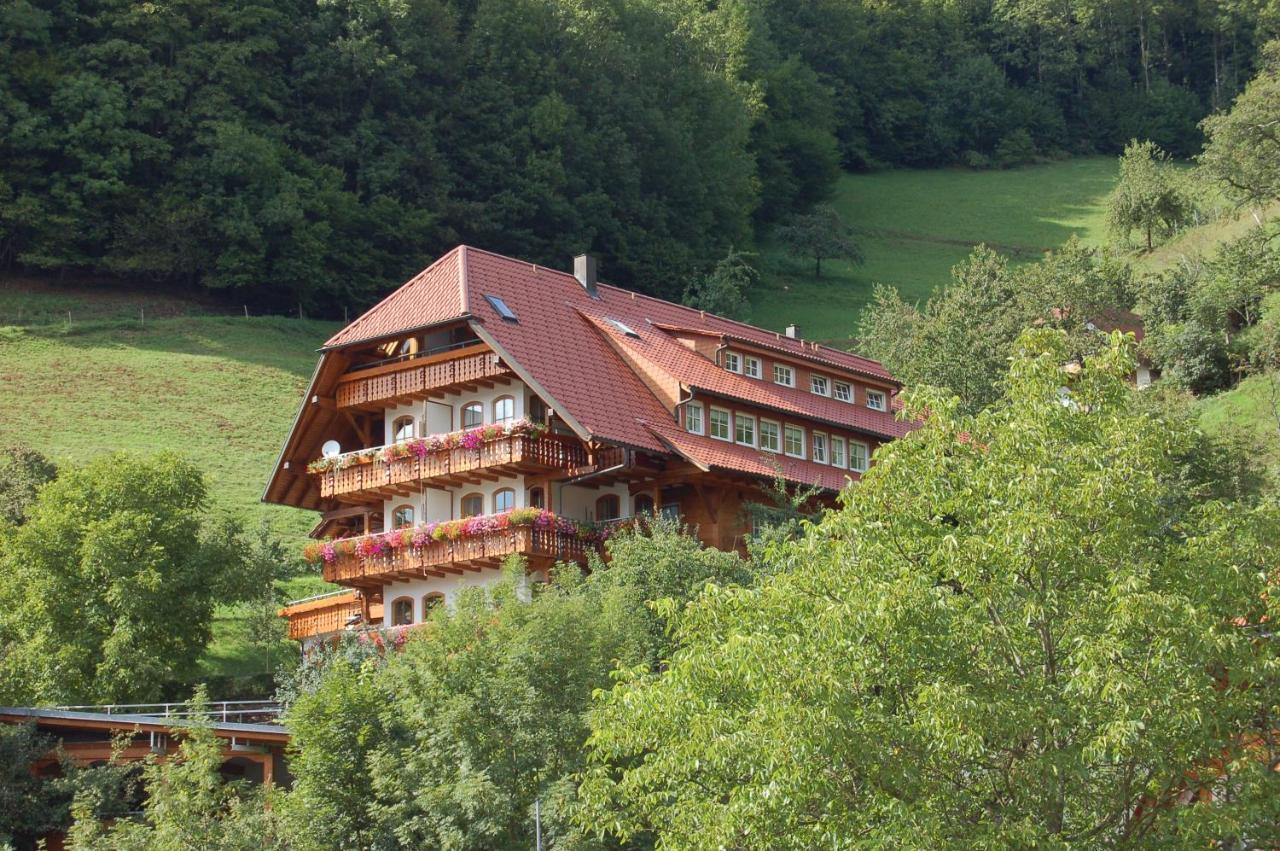 Ehrenmattlehof Faisst Apart otel Bad Peterstal-Griesbach Dış mekan fotoğraf