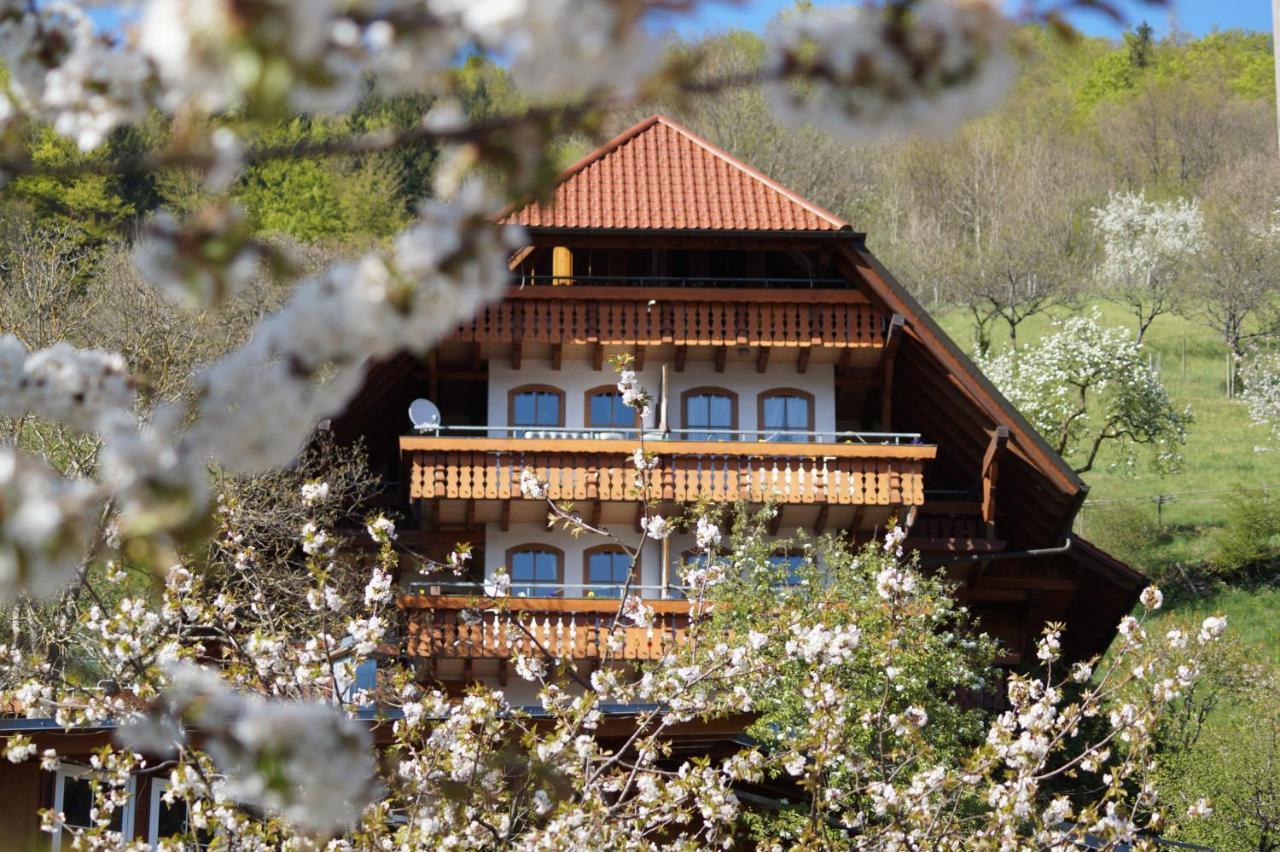 Ehrenmaettlehof Faisst Apart otel Bad Peterstal-Griesbach Dış mekan fotoğraf