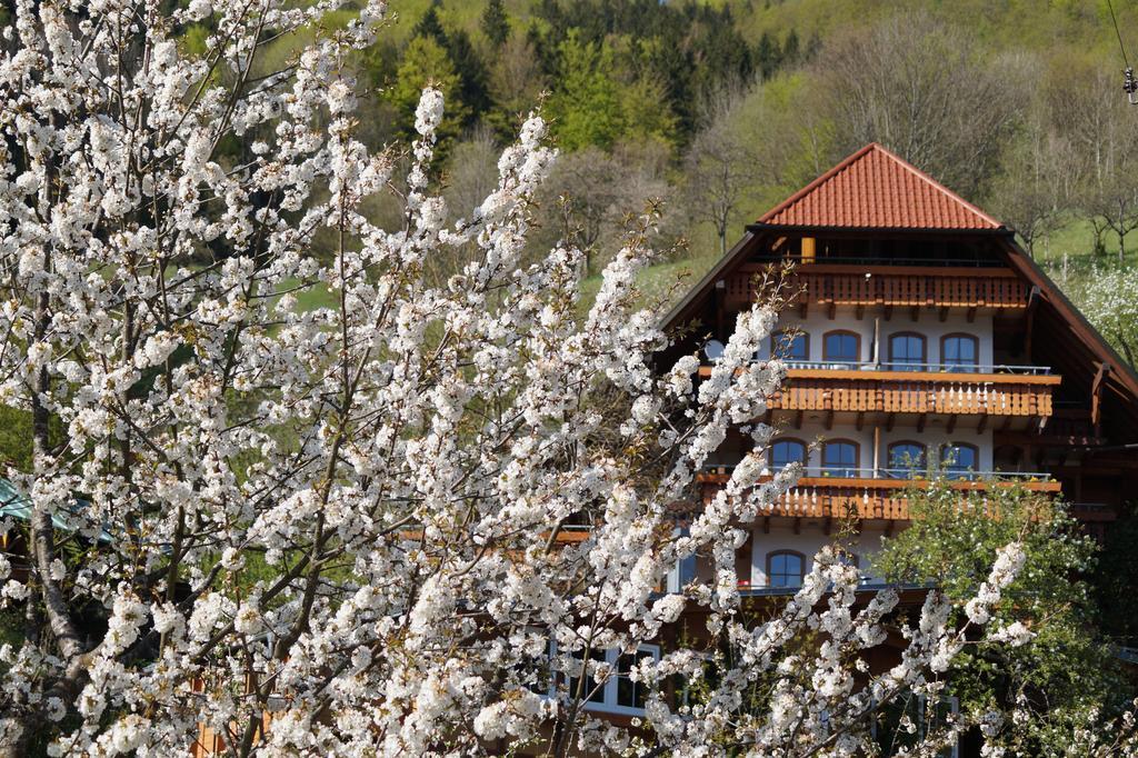 Ehrenmaettlehof Faisst Apart otel Bad Peterstal-Griesbach Oda fotoğraf