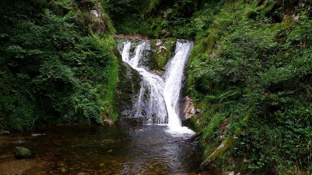 Ehrenmaettlehof Faisst Apart otel Bad Peterstal-Griesbach Dış mekan fotoğraf