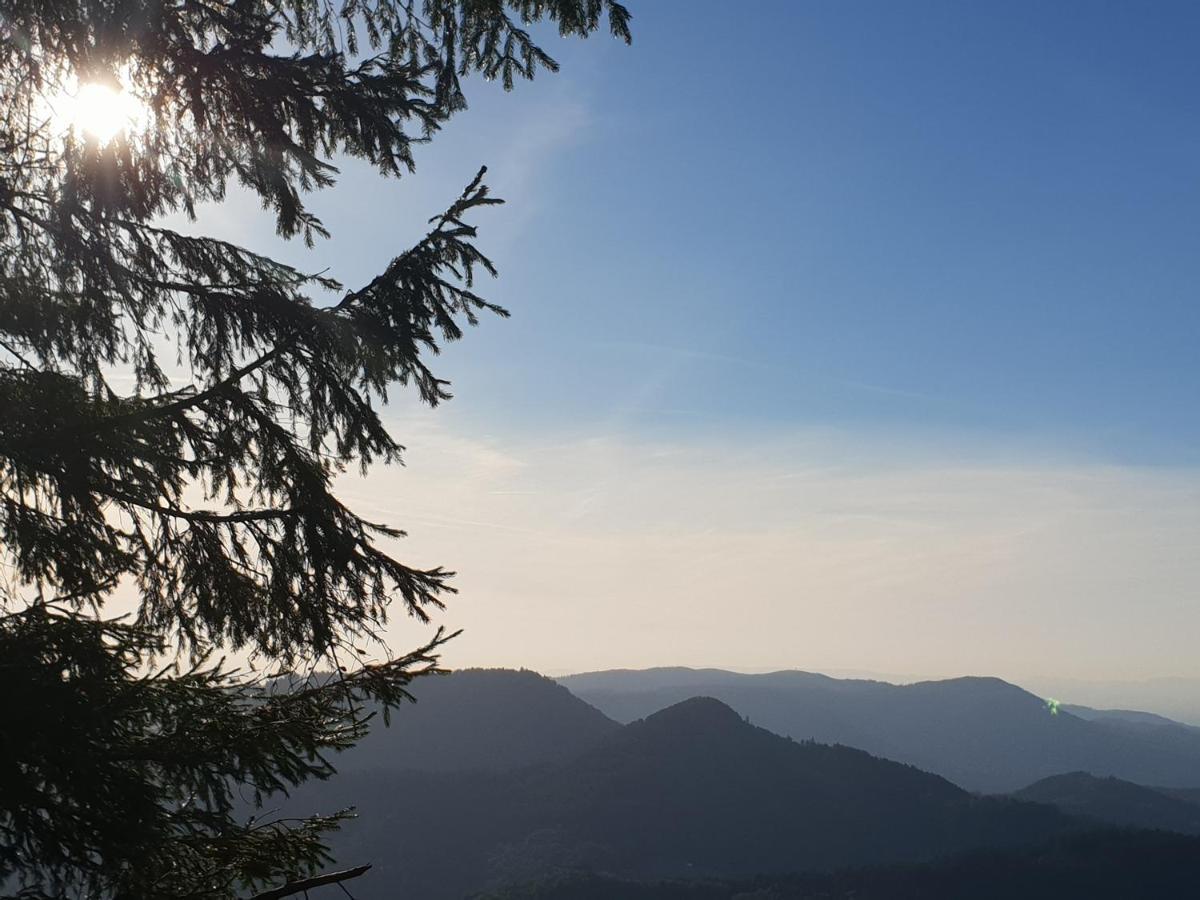 Ehrenmaettlehof Faisst Apart otel Bad Peterstal-Griesbach Dış mekan fotoğraf