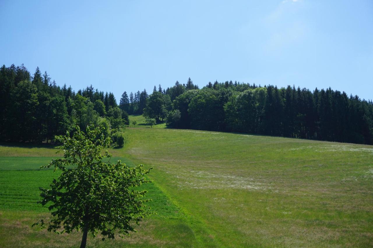 Ehrenmattlehof Faisst Apart otel Bad Peterstal-Griesbach Dış mekan fotoğraf