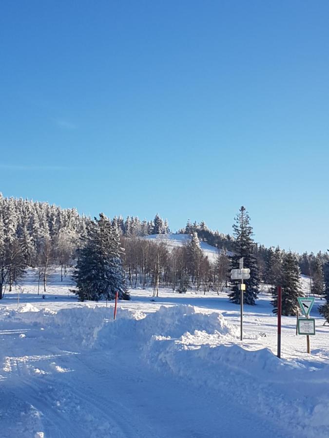 Ehrenmattlehof Faisst Apart otel Bad Peterstal-Griesbach Dış mekan fotoğraf