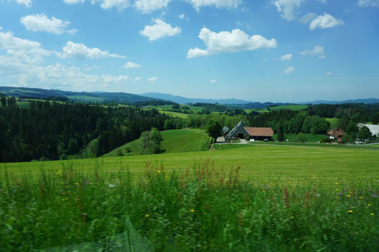 Ehrenmattlehof Faisst Apart otel Bad Peterstal-Griesbach Dış mekan fotoğraf