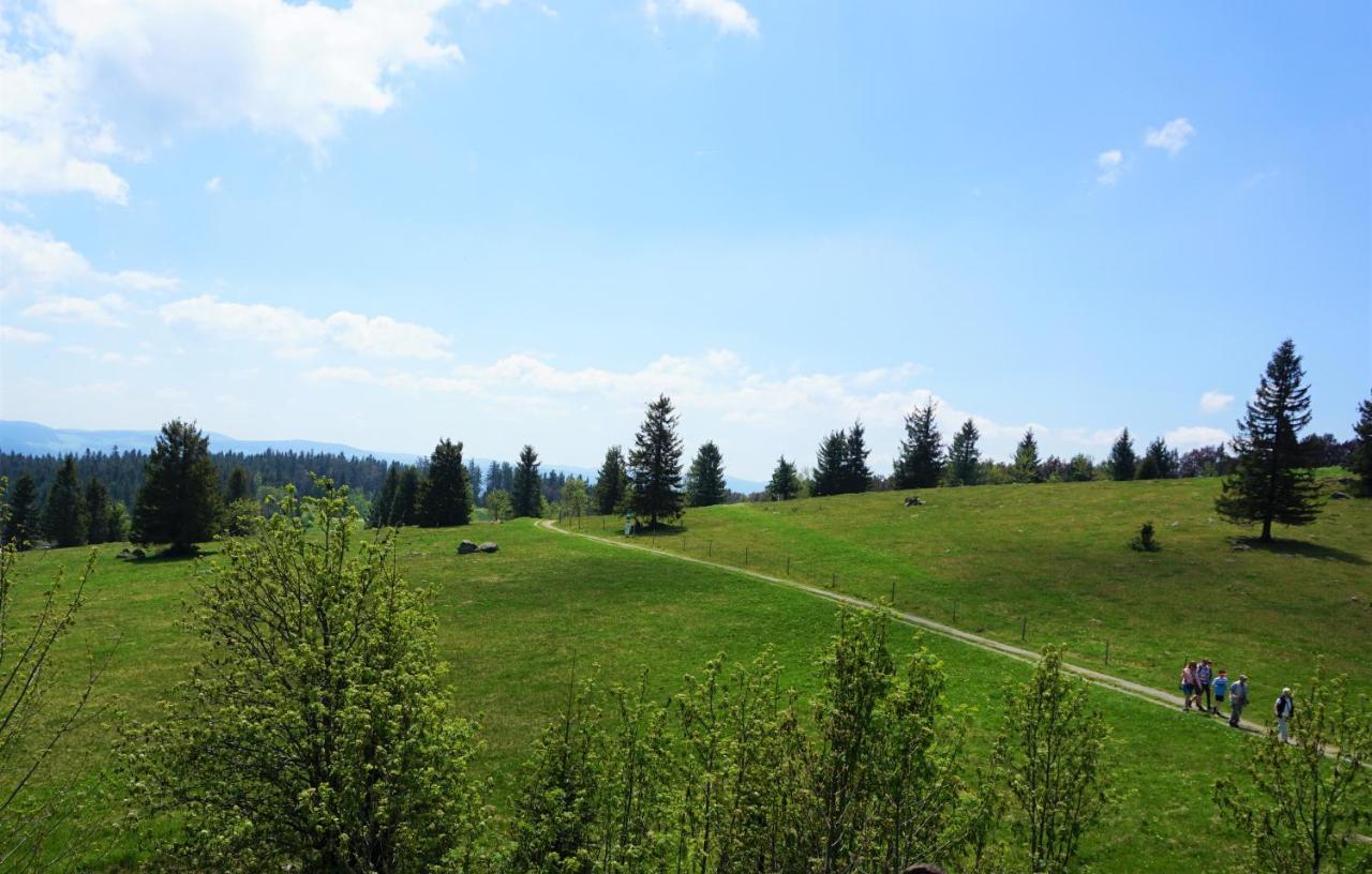 Ehrenmattlehof Faisst Apart otel Bad Peterstal-Griesbach Dış mekan fotoğraf