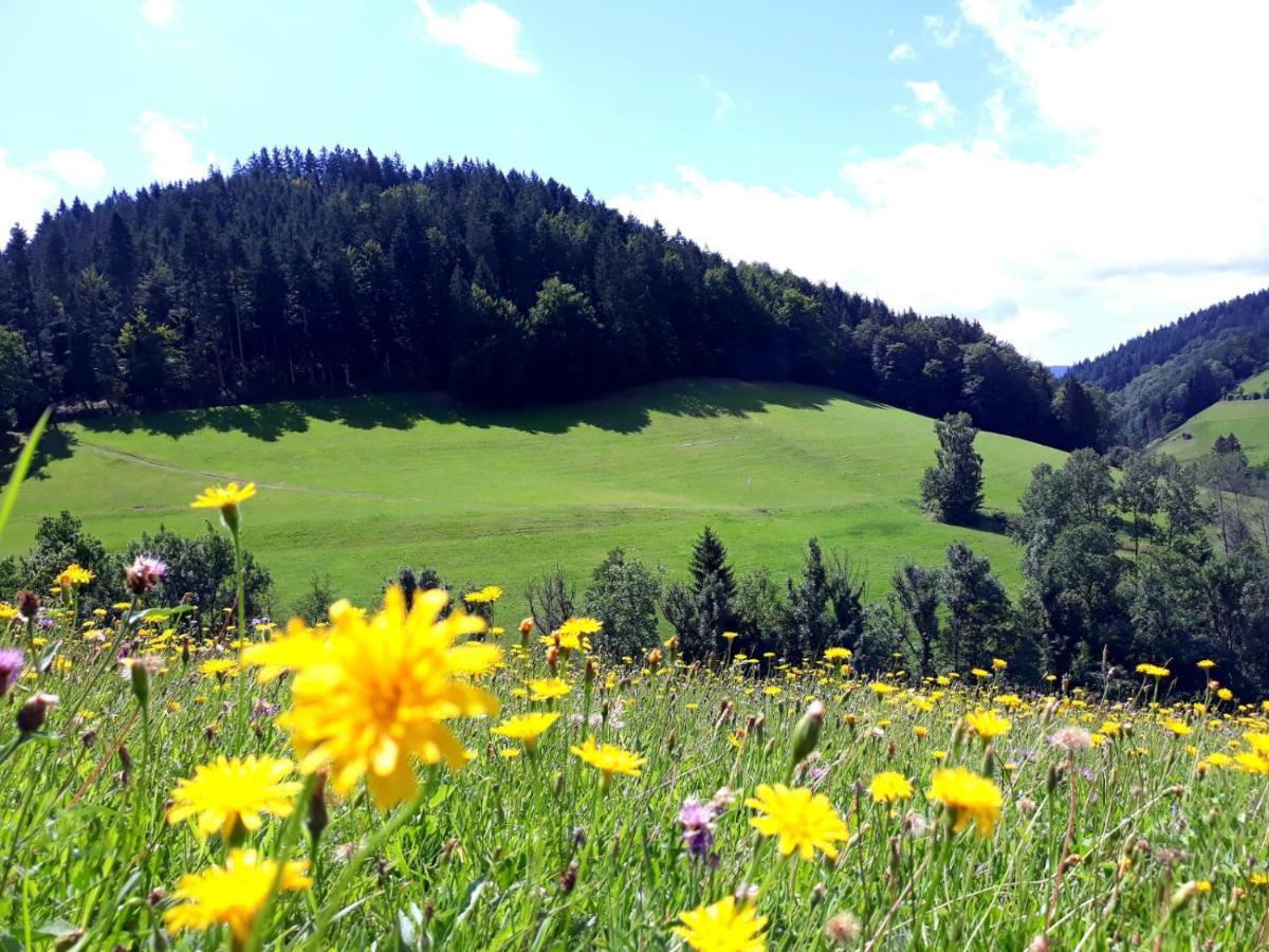 Ehrenmaettlehof Faisst Apart otel Bad Peterstal-Griesbach Dış mekan fotoğraf
