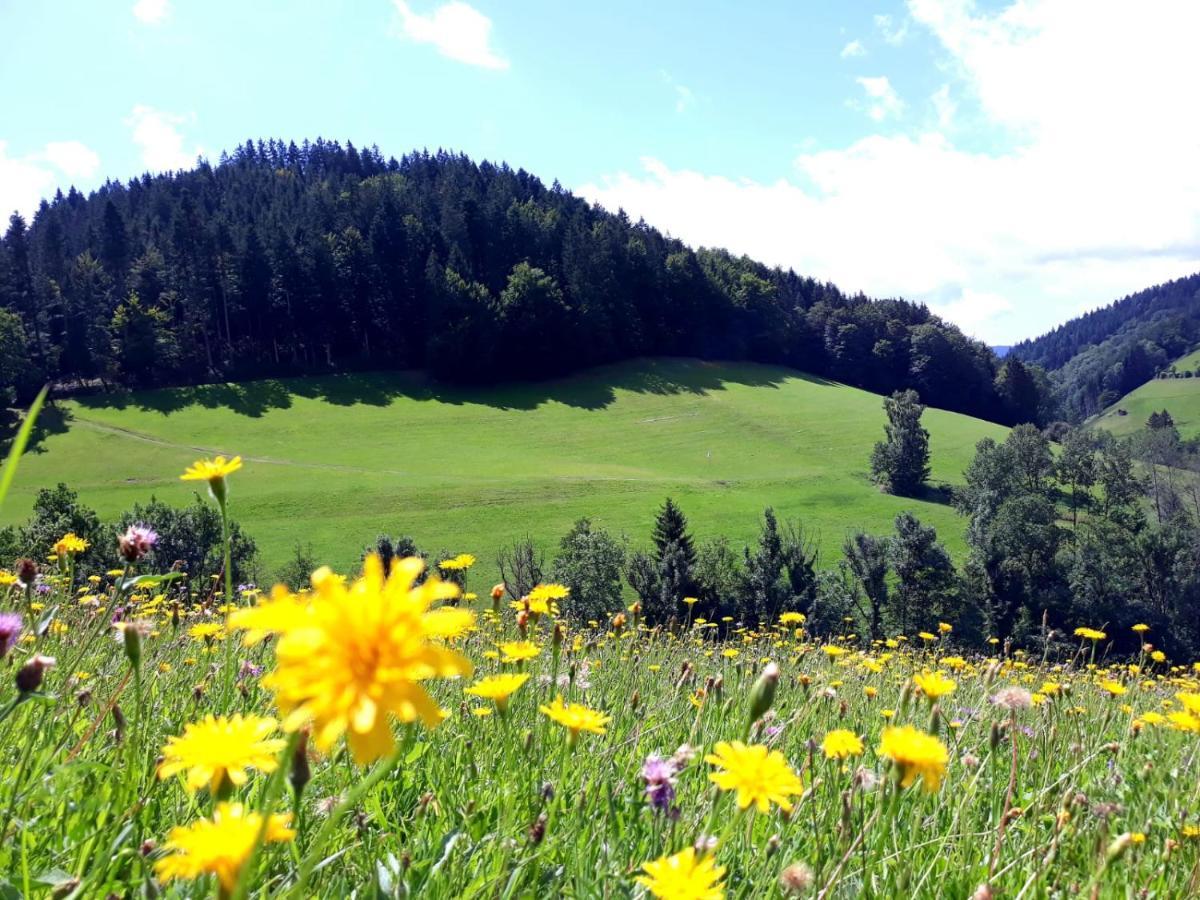 Ehrenmattlehof Faisst Apart otel Bad Peterstal-Griesbach Dış mekan fotoğraf