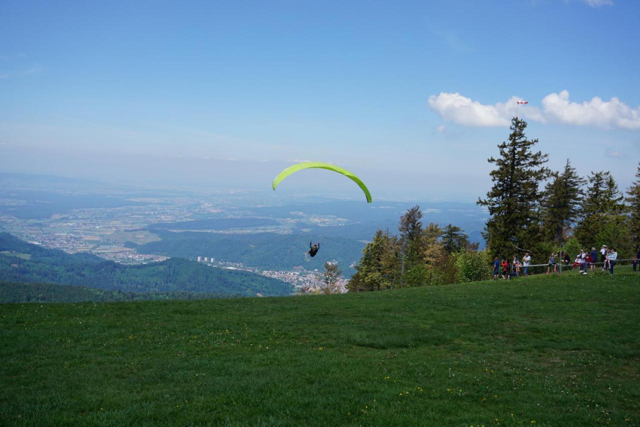 Ehrenmaettlehof Faisst Apart otel Bad Peterstal-Griesbach Dış mekan fotoğraf